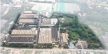 Urse Plant